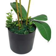 Large Artificial Orchids Display with XL Metal Bowl Planter 70x70cm